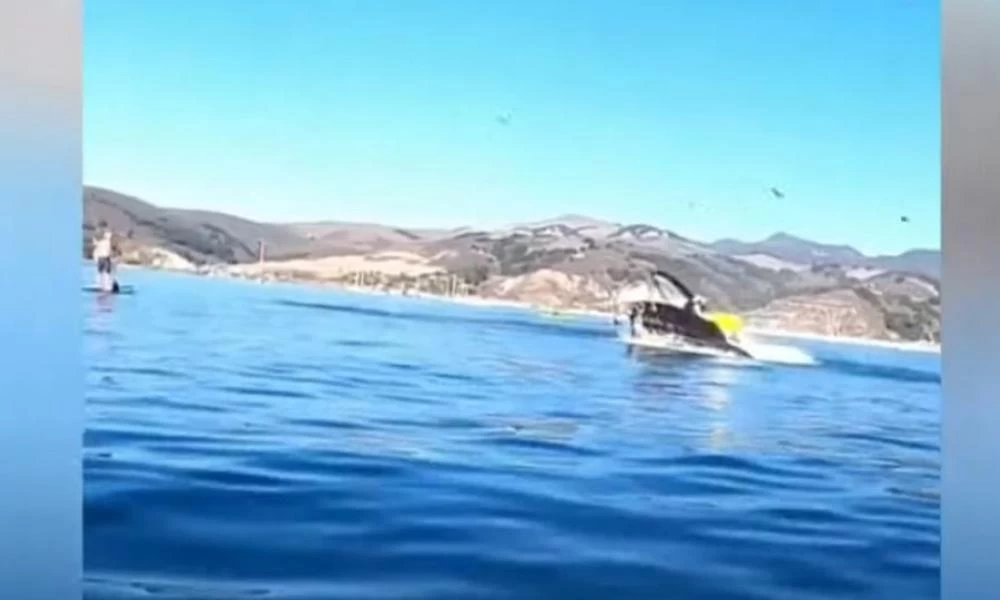 Βίντεο -σοκ! Φάλαινα «κατάπιε» δύο γυναίκες που έκαναν καγιάκ στην Καλιφόρνια